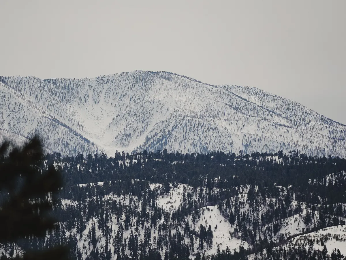 Snow-covered mountains and pine forest at Big Bear Lake, California