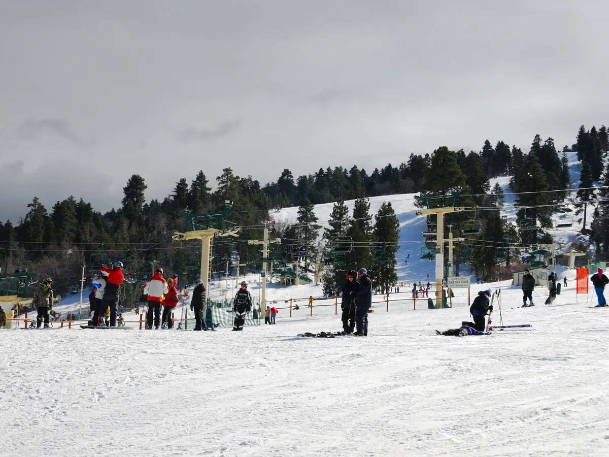 Skiers on a snowy slope with chairlifts and pine forest